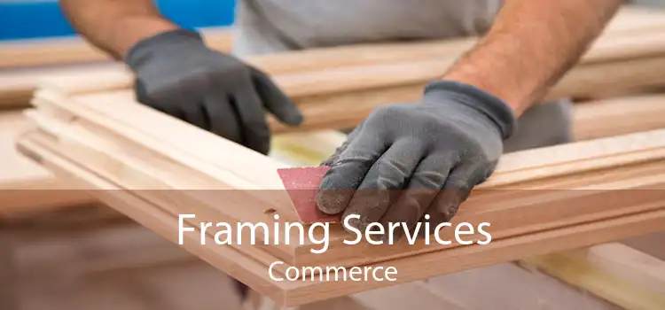 Framing Services Commerce